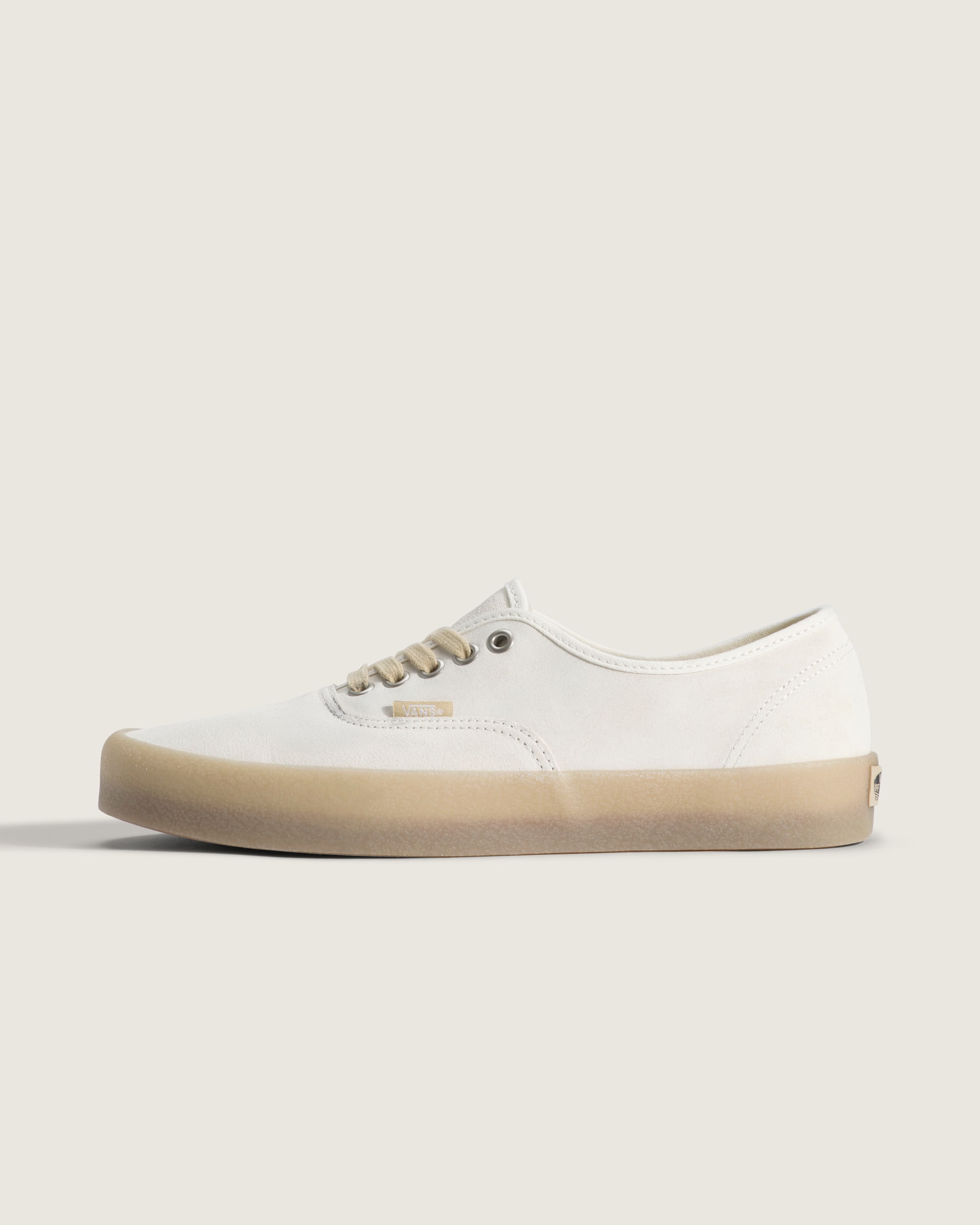 Authentic-Shoe-VANS-HERO-1